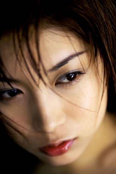 半岛平台在线登入